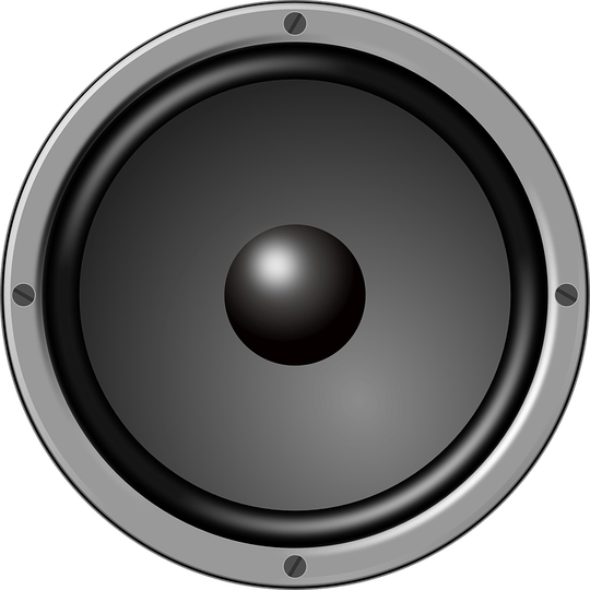 Bass PNG