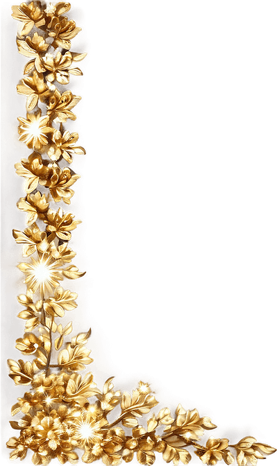 Sparkle Border PNG