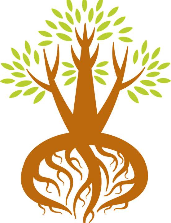 Hand With Tree PNG