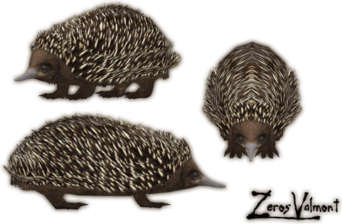 Echidna PNG