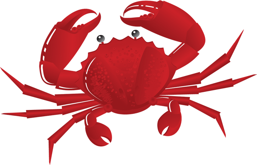 Crab Spiders PNG