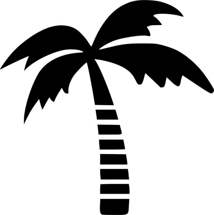 Coconut Palm Tree PNG