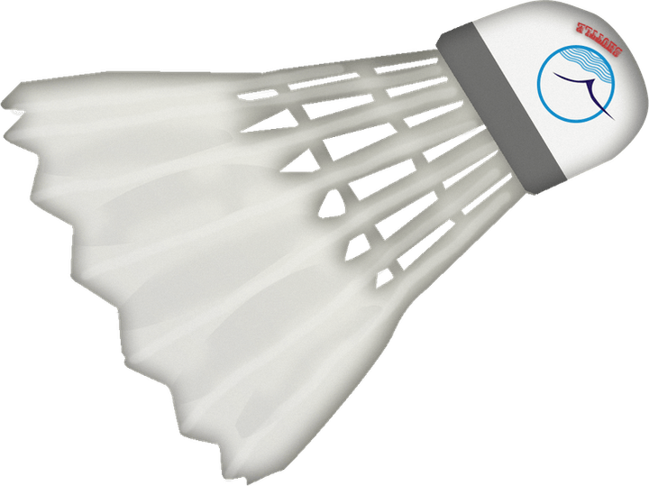 Shuttlecock PNG