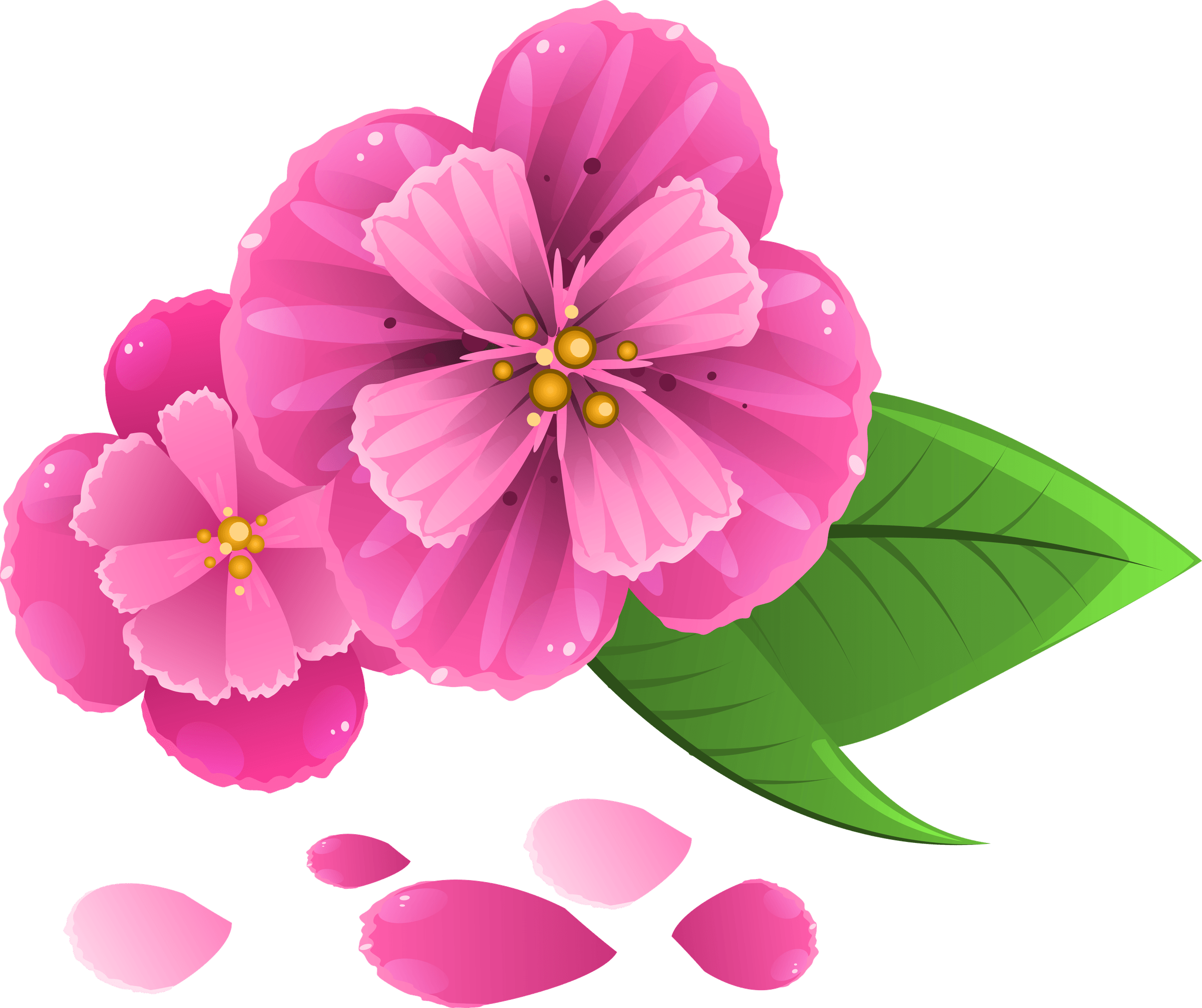 Petal PNG