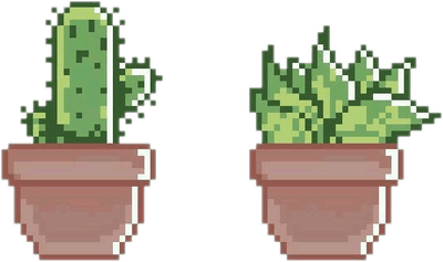 Aesthetic Plant PNG