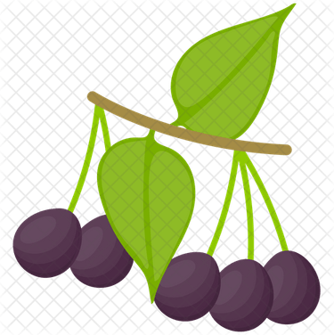 Acai Berry PNG