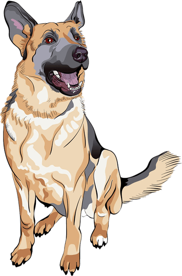 German Shepherd PNG