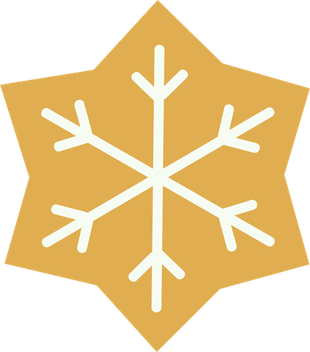 Christmas Snowflake PNG