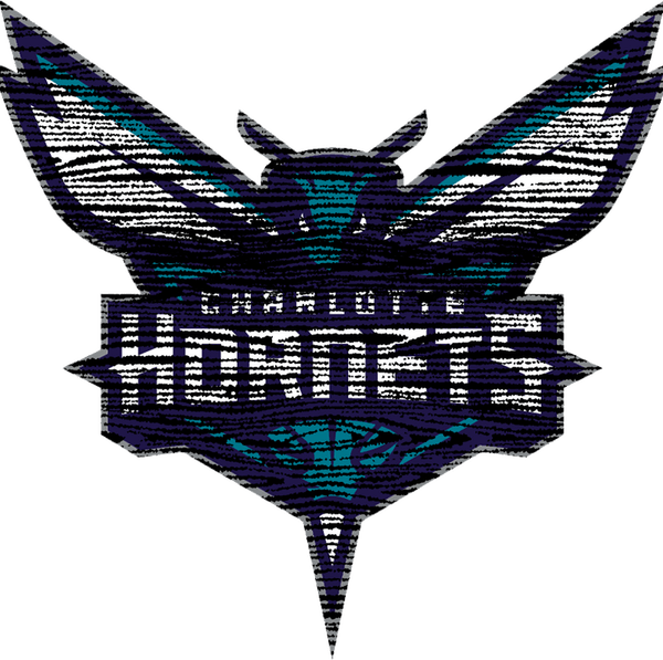 Charlotte Hornets PNG