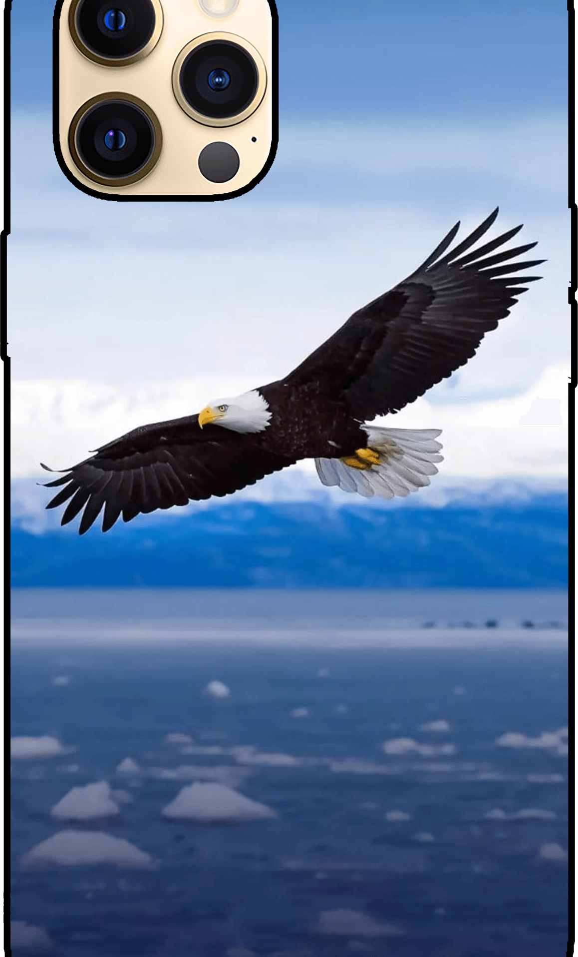 Iphone Eagle PNG