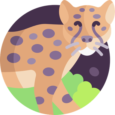 Cheetah Circle PNG