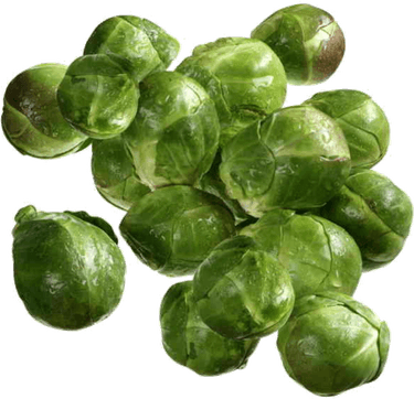 Brussels Sprouts PNG