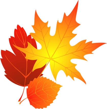 Autumn Leaf PNG