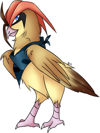 Pidgeotto Pokemon PNG
