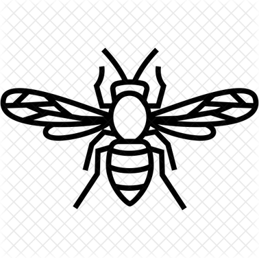 Hornet Insect PNG