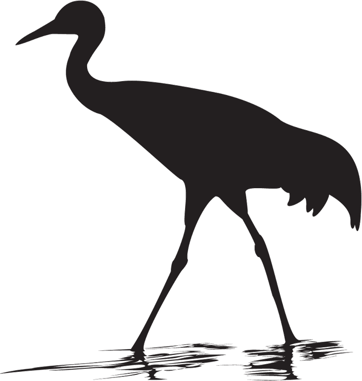 Crane Bird PNG