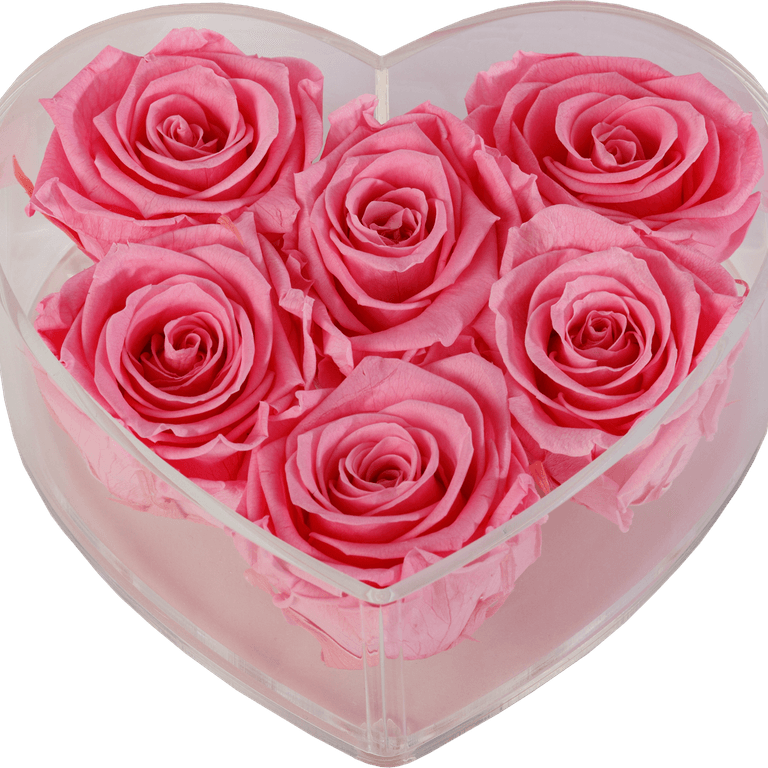 Infinity Rose PNG