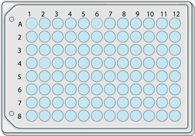 6 Well Plate PNG