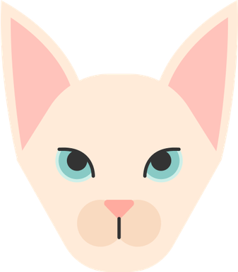 Bald Cat PNG