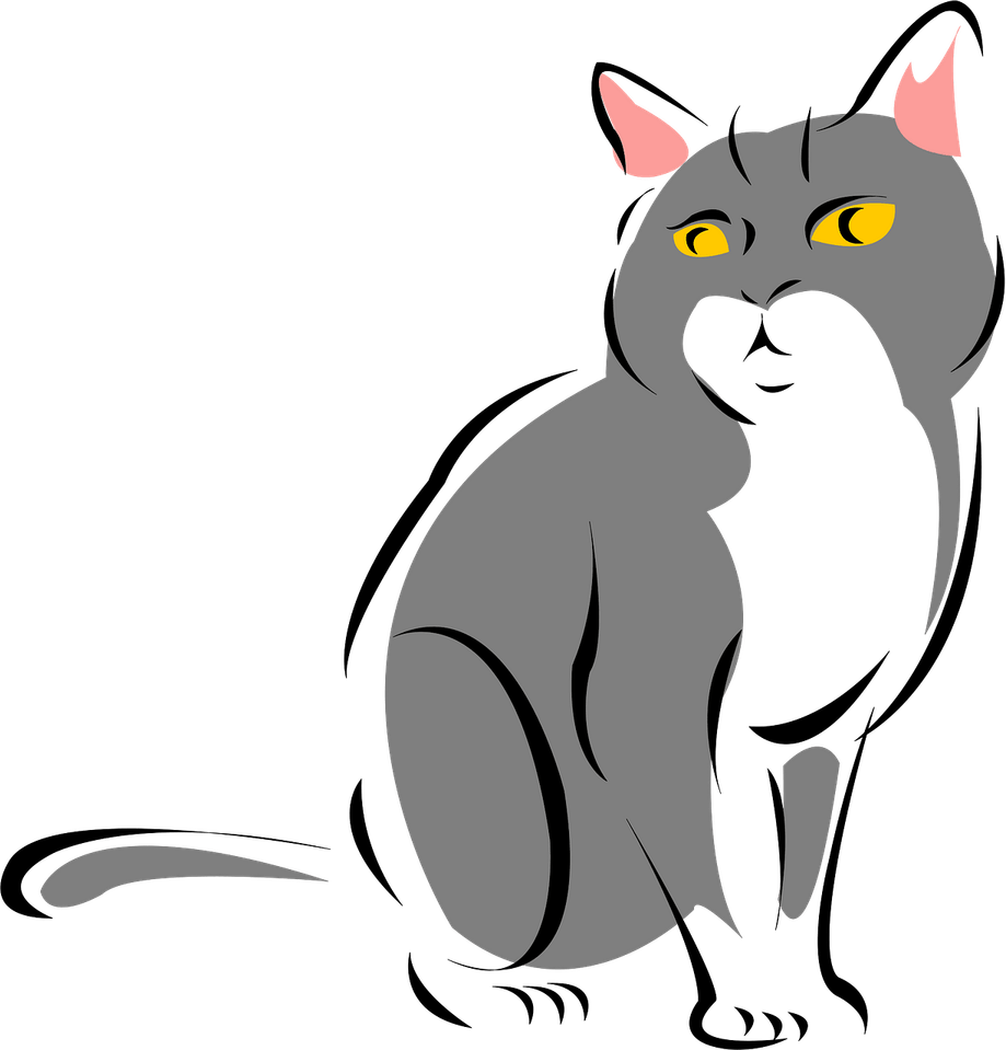 Grey Cat PNG