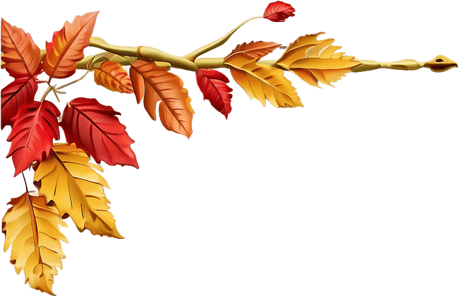 Thanksgiving Border PNG
