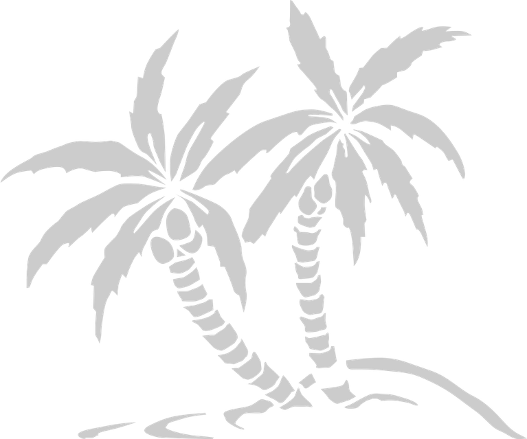White Palm Tree PNG