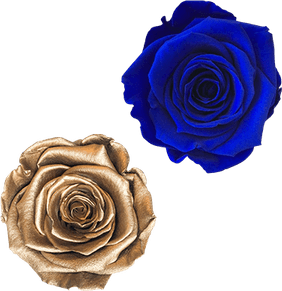 Royal Blue Flower PNG
