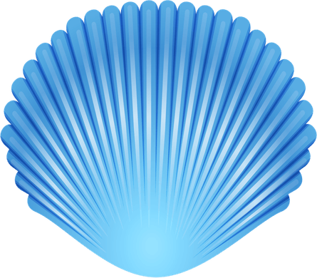 Blue Shell PNG