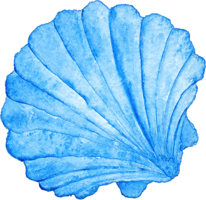 Blue Shell PNG