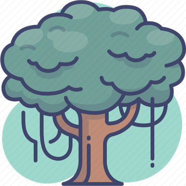 Jungle Tree PNG