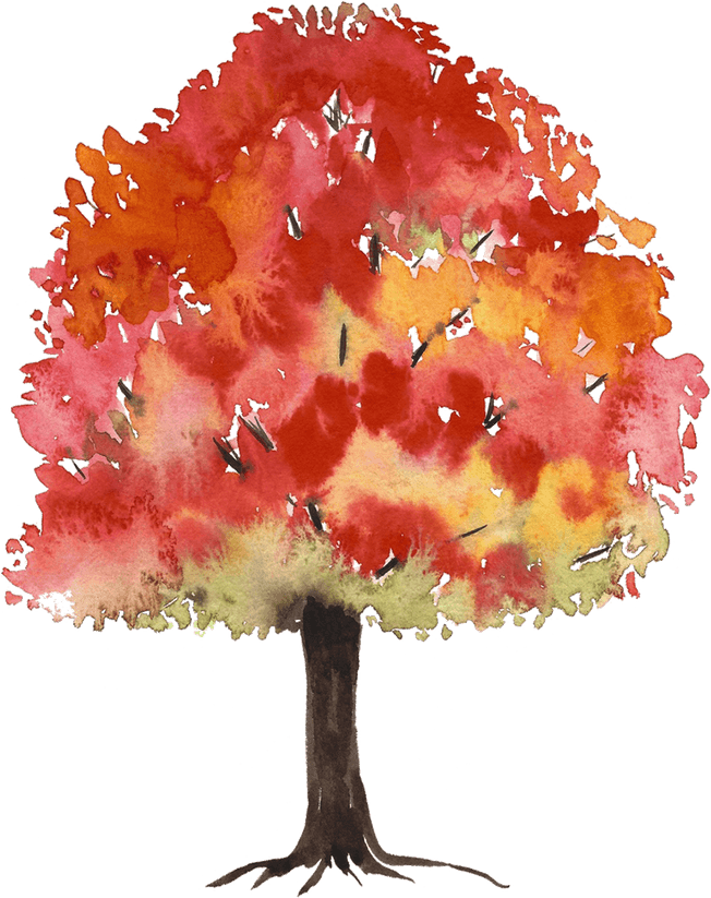 Red Tree PNG