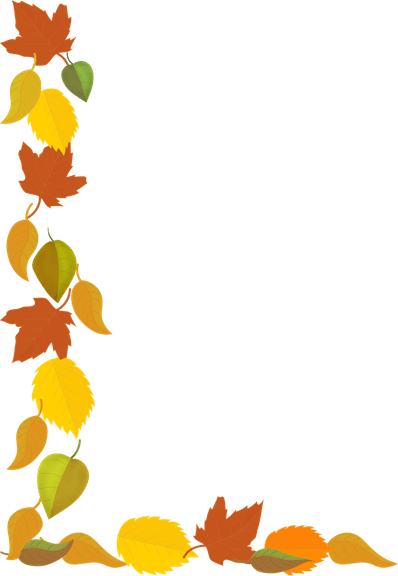 Plant Border PNG