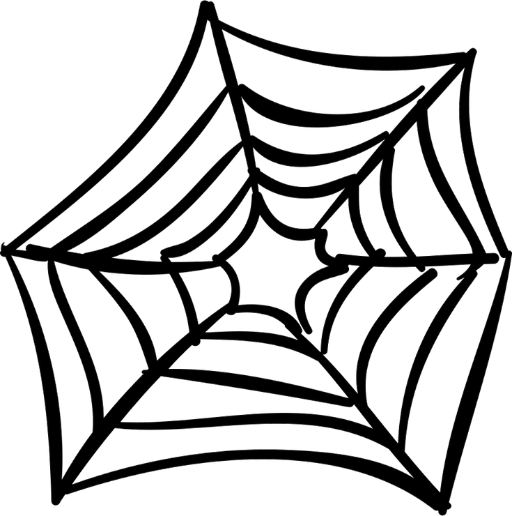 Spider Web PNG