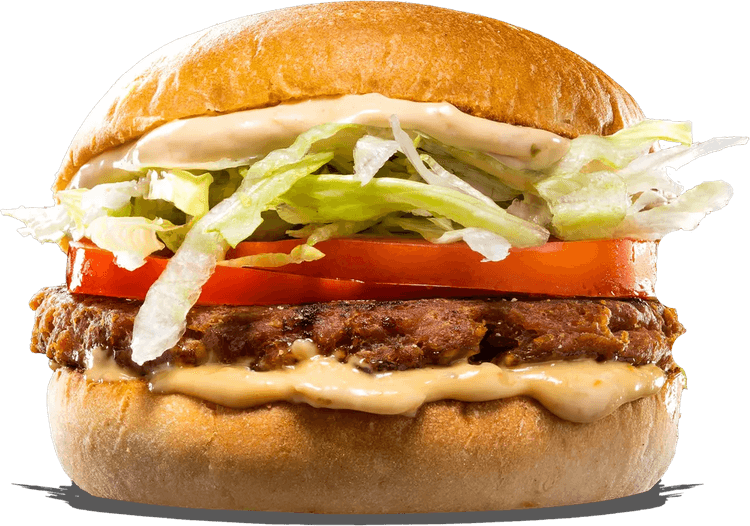 Vegetarian Burger PNG
