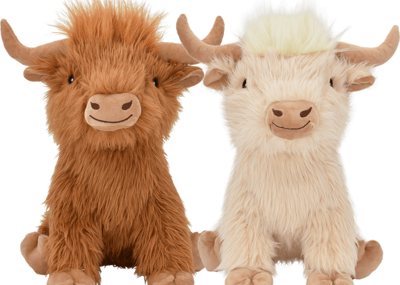 Highland Cow PNG