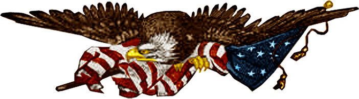 Patriotic Eagle PNG