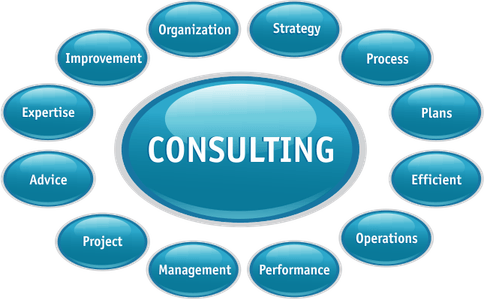 Consultant PNG
