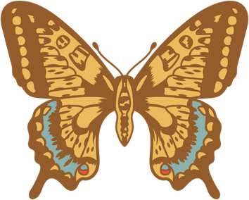 Butterfly Brown PNG
