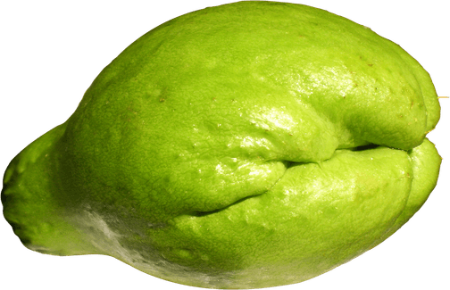 Chayote PNG