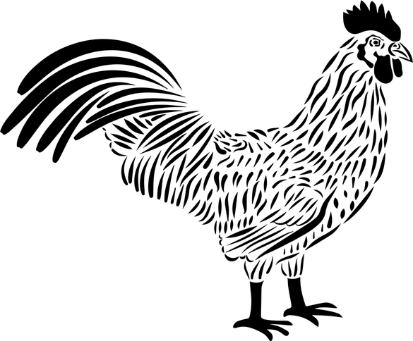 Chicken Clip Art PNG