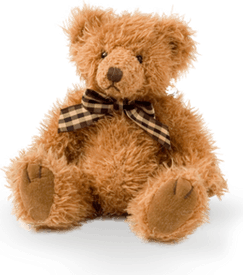 Teddy Bear PNG