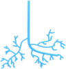 Veins PNG