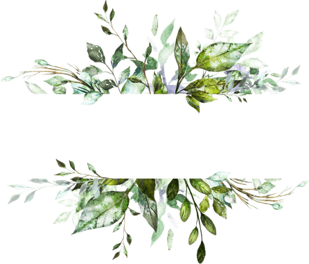 Plant Border PNG
