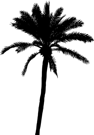 Palm Tree Black PNG