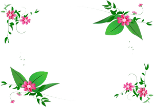 Flowers Borders PNG