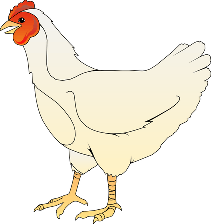 Chicken Cartoon PNG