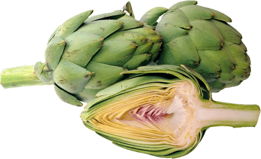 Artichokes PNG