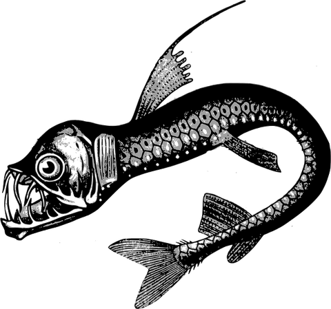 Viper Fish PNG