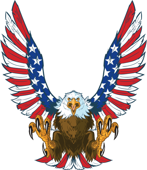 Patriotic Eagle PNG