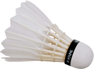 Shuttlecock PNG